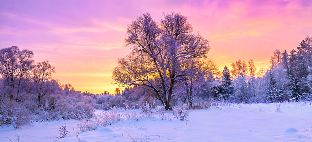 Take Care Of Yourself This Winter.
